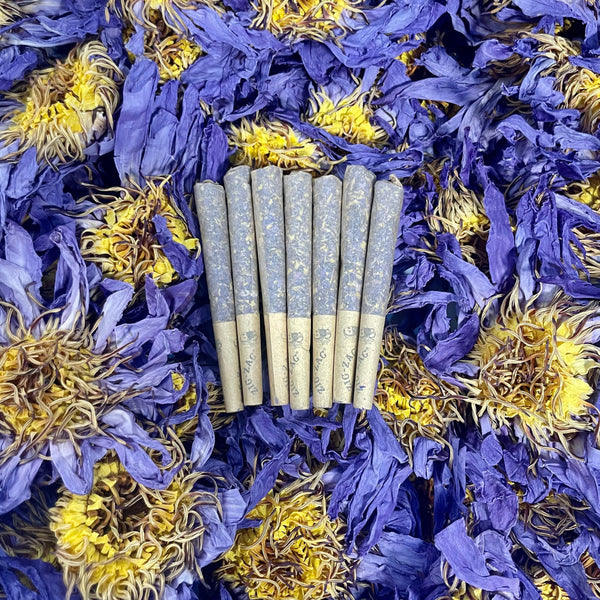 Blue Lotus Flower Pre Rolls