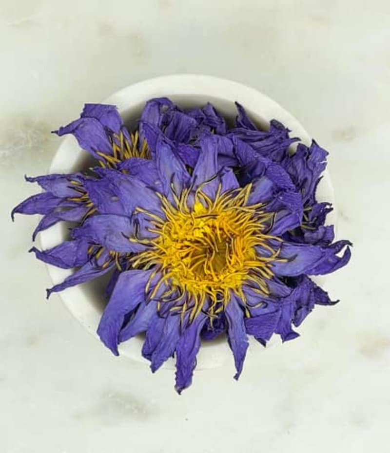 1 kg Organic Blue Lotus, N. caerulea, Wholesale Dried Organic Lotus Whole ~ 4D Herbs