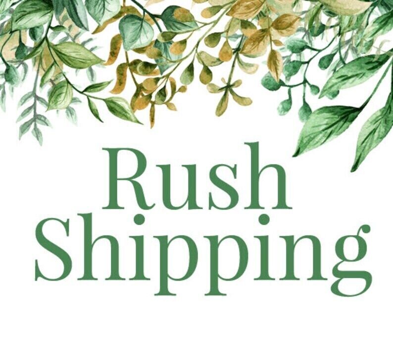 Red Raspberry Leaf Cut and Sifted (Rubus idaeus) - Botanical, Culinary Herb, 100% Organic