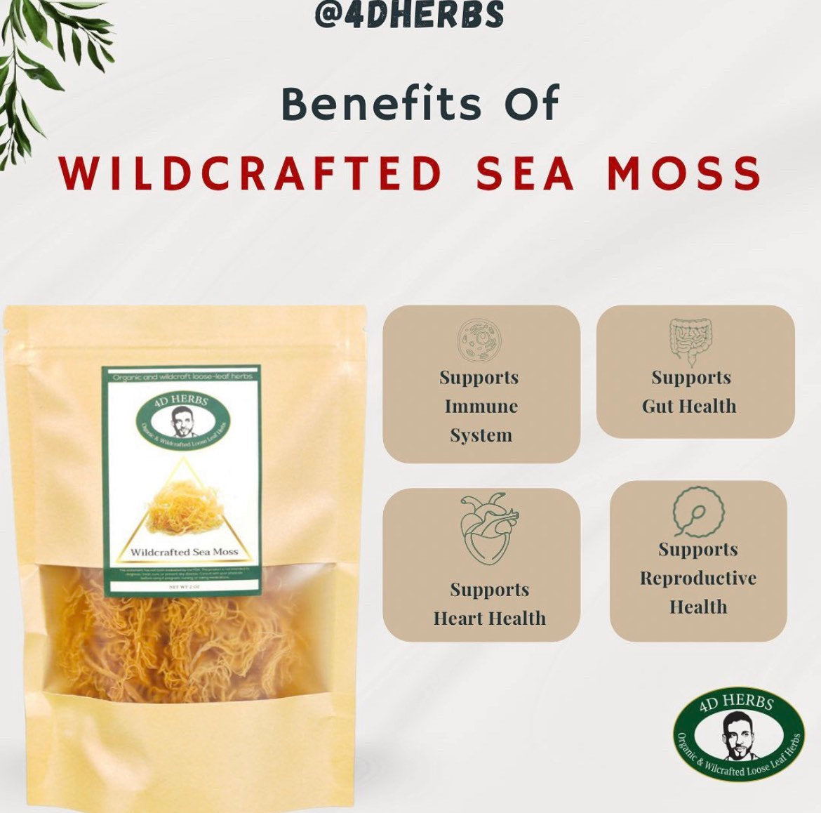 Wildcrafted St. Lucia Sea Moss, Bulk Sea Moss, Wholesale Sea Moss