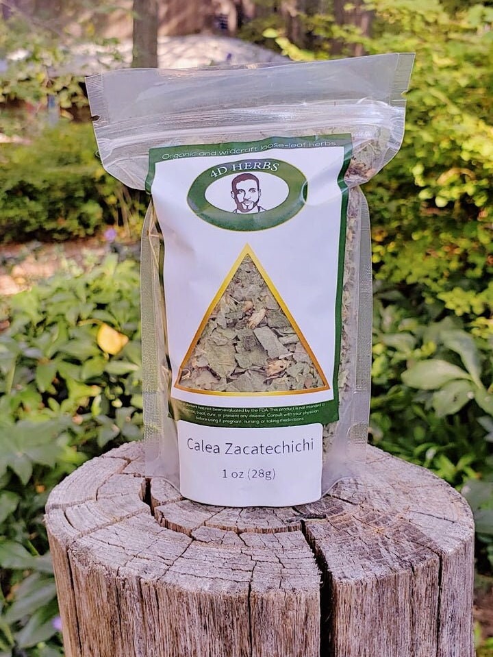 Calea Zacatechichi, Organic Calea ternifolia, Dream Herb, Ancient Herbal Medicine, calea zacatechichi herb