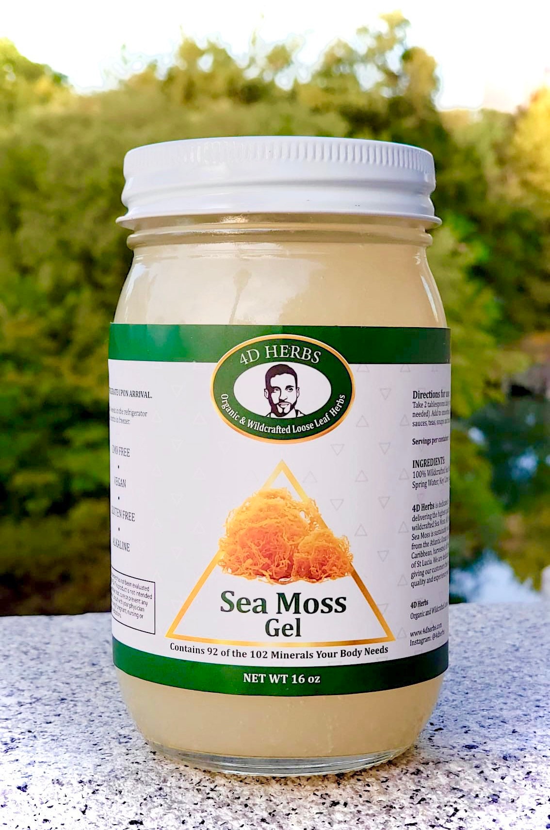 100% Wildcraft Sea Moss Gel - Organic & Vegan